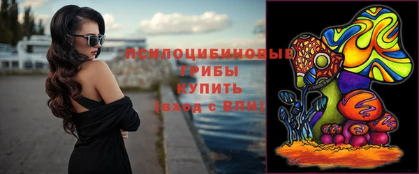 винт Пролетарск